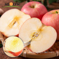 Good quality factory provide large size fresh apples